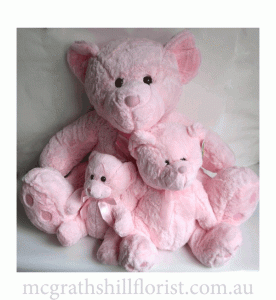 Pink Bear Family